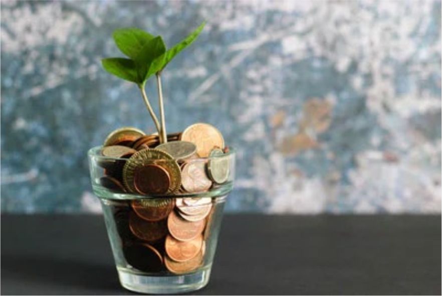 Plantje groeit op geldmunten